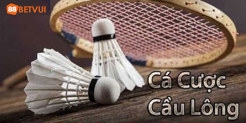 Tìm hiểu về cá cược cầu lông là gì?