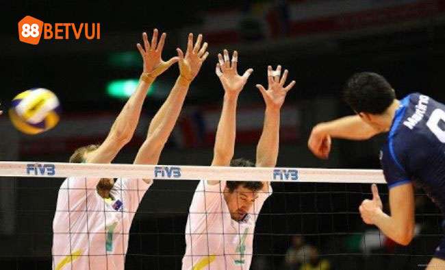 Chọn trang cá cược bóng chuyền uy tín