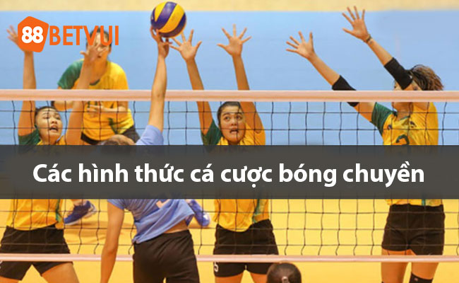 Khám phá các hình thức cá cược bóng chuyền