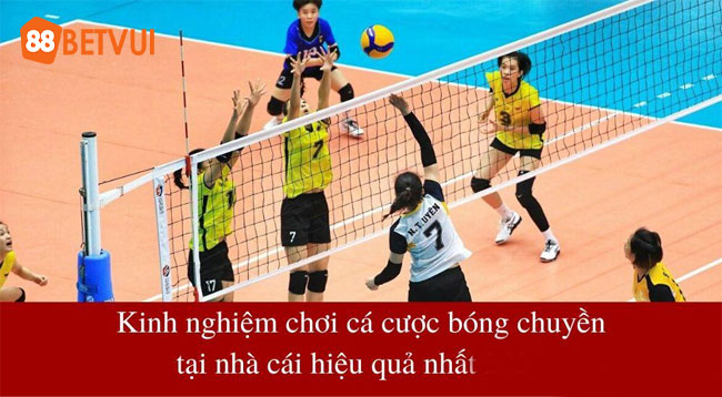 Mẹo cá cược bóng chuyền nâng cao tỷ lệ thắng
