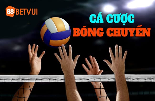 Tìm hiểu về môn thể thao bóng chuyền