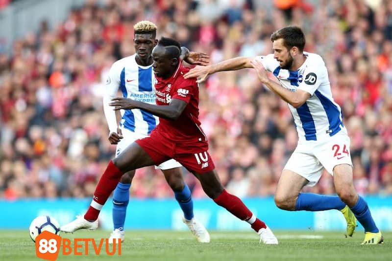 Hai đội Brighton Vs Liverpool ở lần gặp nhau gần nhất