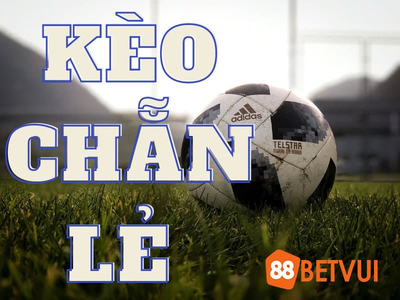 Mẹo cược chẵn lẻ