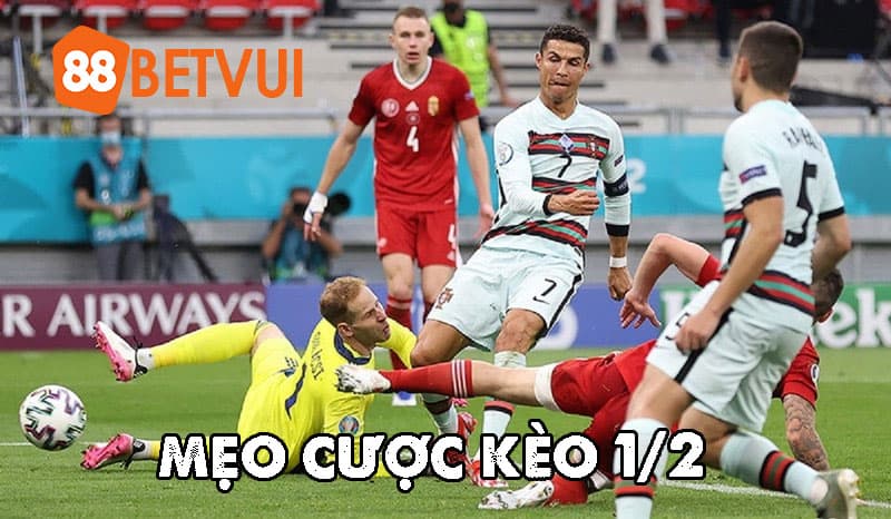Mẹo cược kèo 1/2