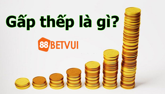 Sơ lược về cược gấp thếp