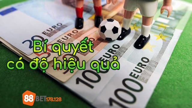 Mẹo cá độ hiệu quả